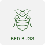 bed bug exterminators icon