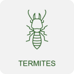 termite treatment icon