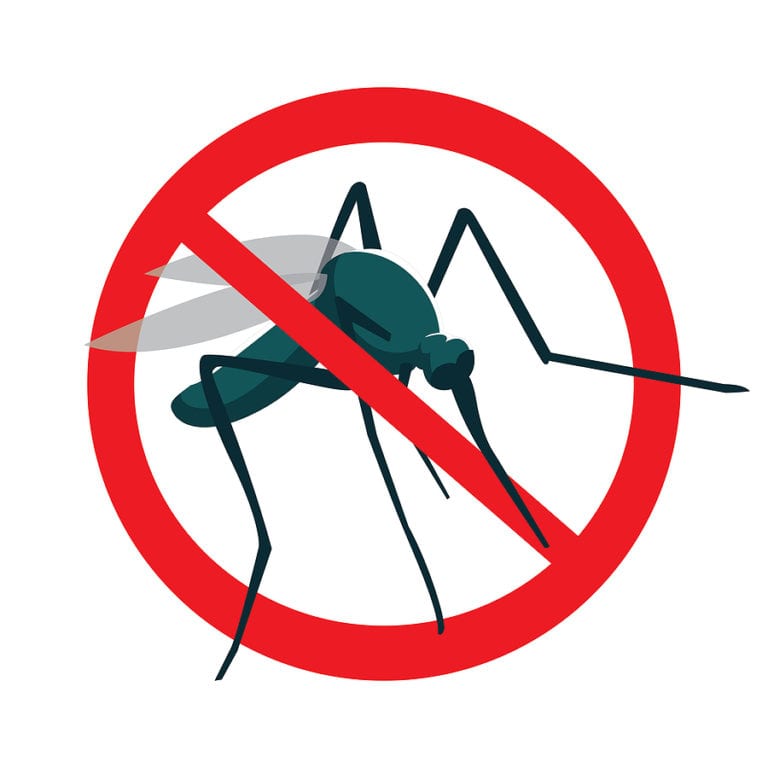 How Much Does Mosquito Control Cost? Find Mosquitoes Control