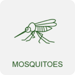 Mosquito control icon