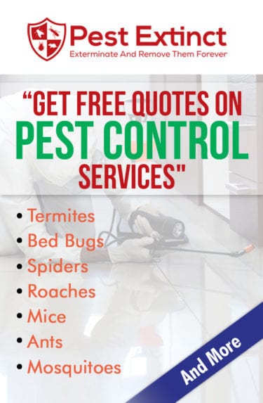 pest control visalia