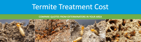 Get Rid of Termites With Bullet Proof Tips