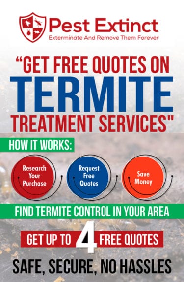 Termite Treatment