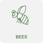 bee removal icon
