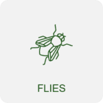 fly control icon