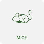 mice exterminators icon
