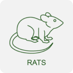 rat exterminators icon