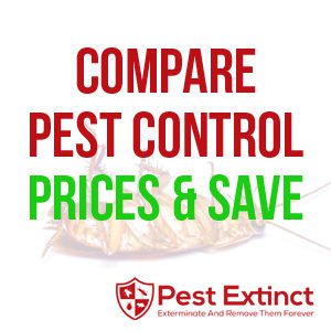 Compare Pest Control Prices Branded Image