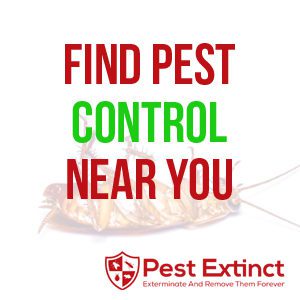 Find Pest Control Near You Branded Image