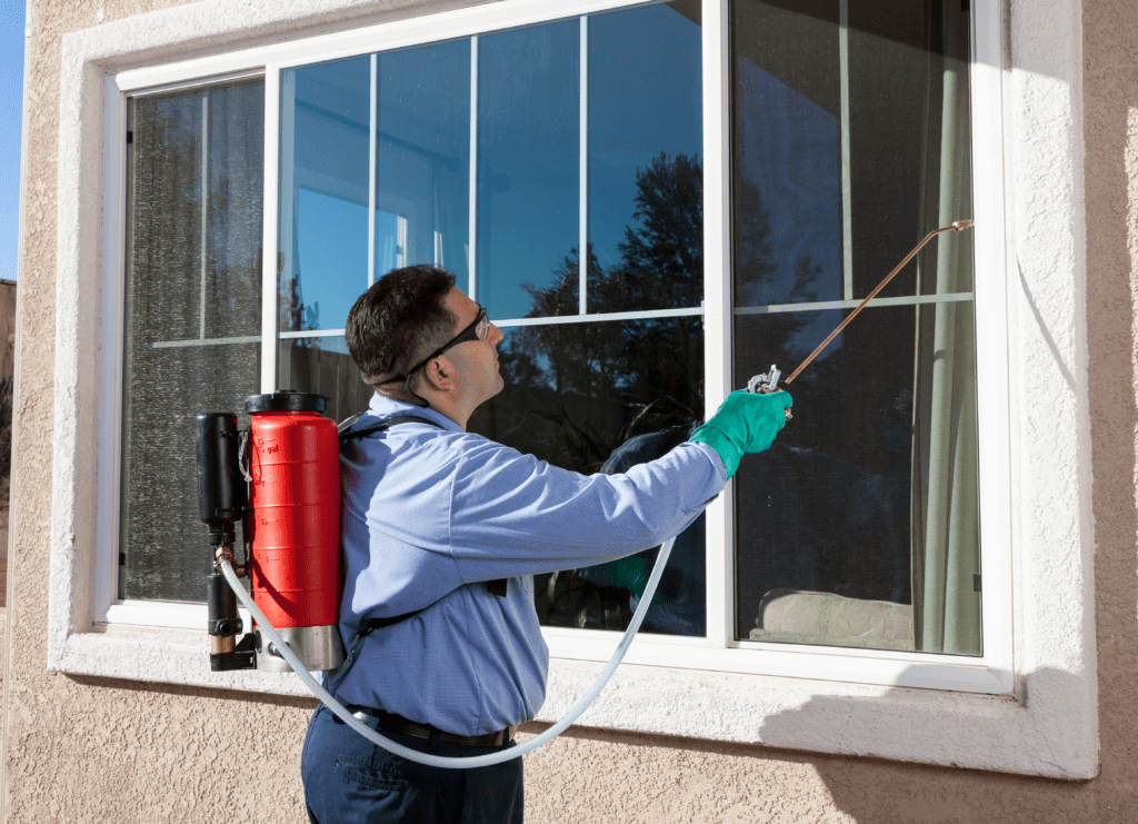 pest control frequency pest control frequency