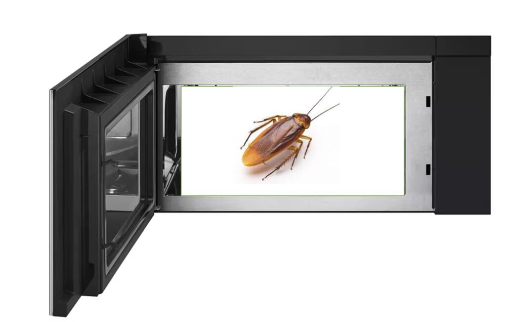 Roach in Microwave Oven