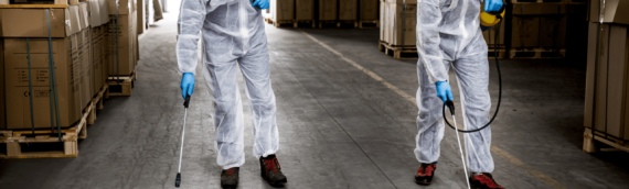 How Licensed Pest Control Technicians Handle Tough Infestations