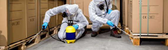 Commercial Pest Control: Protecting Your Business from Costly Infestations