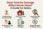 does-termite-damage-affect-home-value-a-guide-for-sellers
