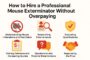 how-to-hire-a-professional-mouse-exterminator-without-overpaying